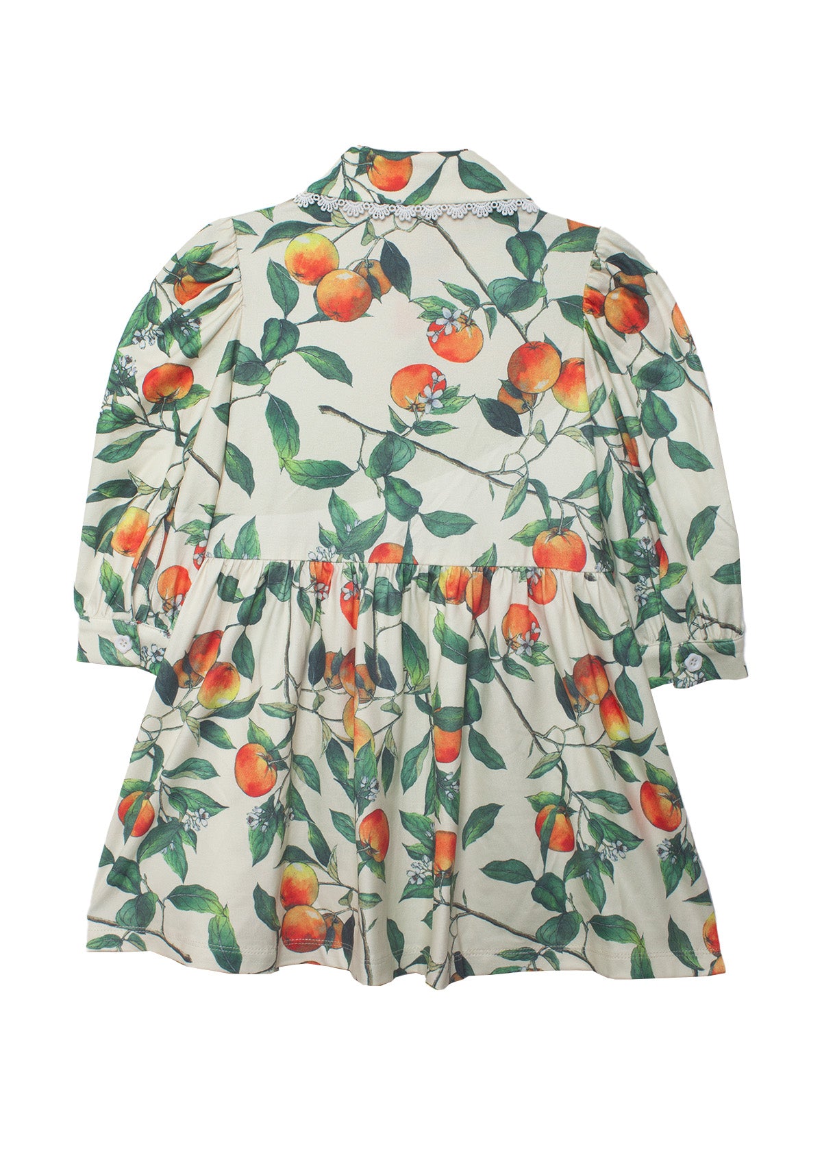 Clementine Collared Dress