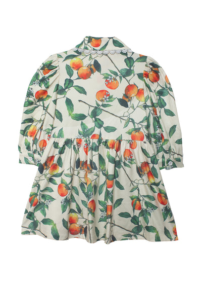 Clementine Collared Dress