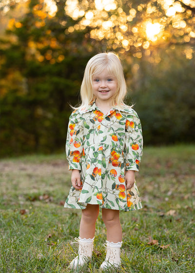 Clementine Collared Dress