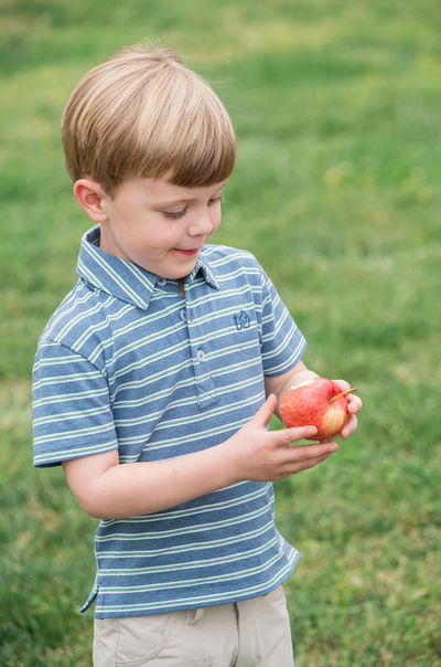 Boys Short Sleeve Too Cool for School Cotton Polo in Heathered Blue and Spruce Green Stripe