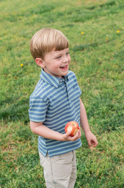 Boys Short Sleeve Too Cool for School Cotton Polo in Heathered Blue and Spruce Green Stripe
