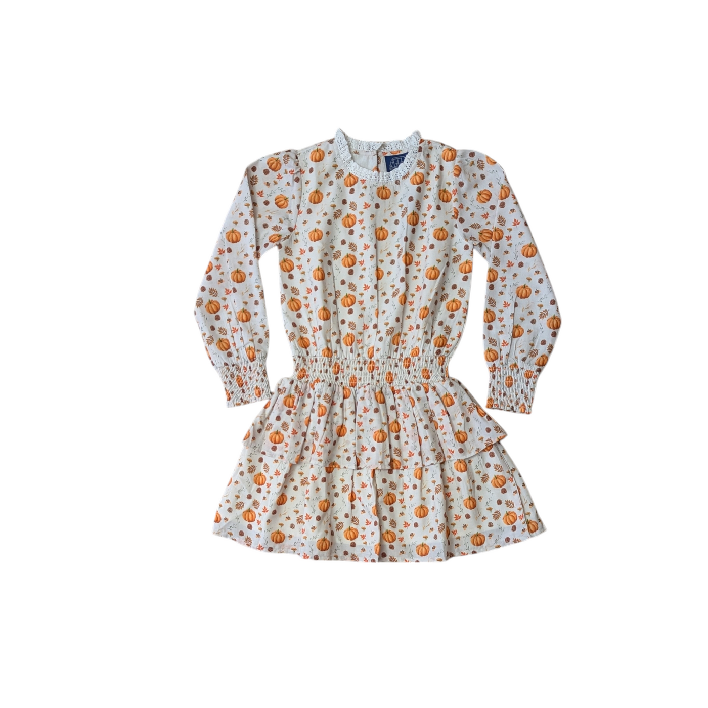 Fall Medley Smocked Waist Dress