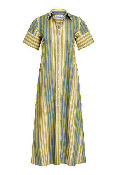 Gibbons Dress, Chartreuse Stripes