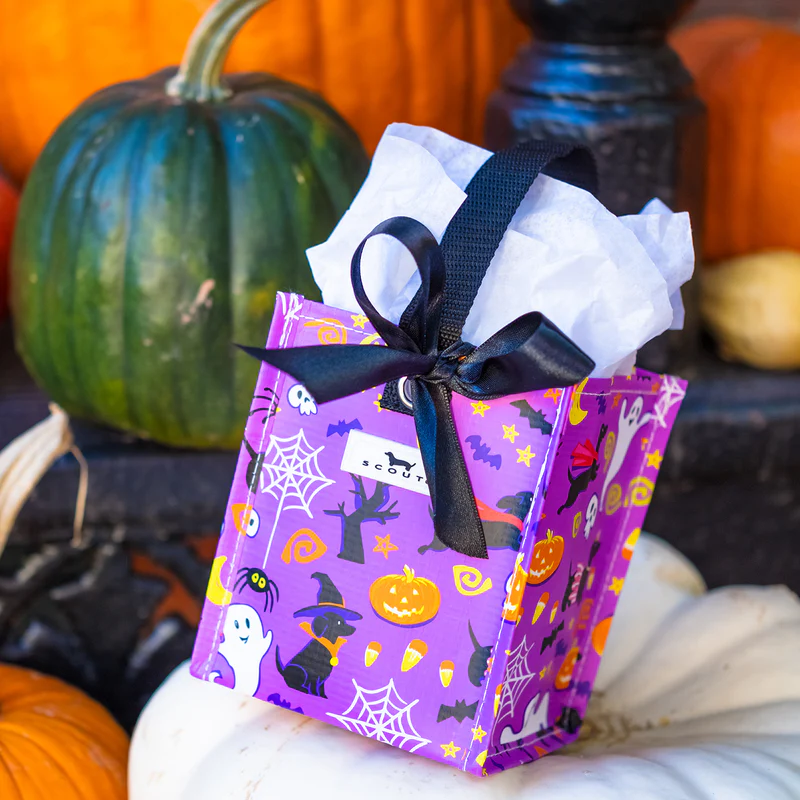 Gift Bag Square X-Small