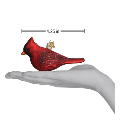 Northern Cardinal