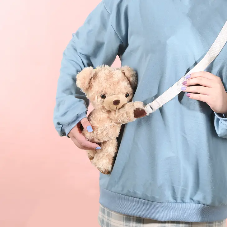 Plushie Teddy Bear Sling Crossbody