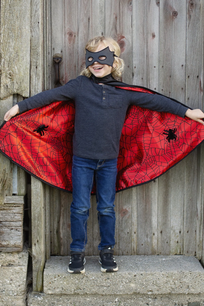 Reversible Spider/Bat Cape & Mask